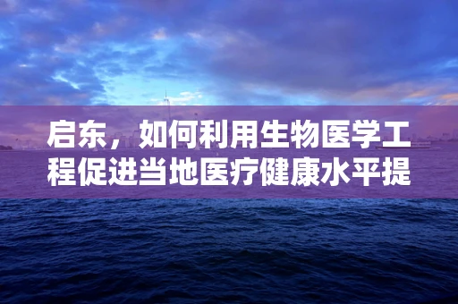 启东，如何利用生物医学工程促进当地医疗健康水平提升？