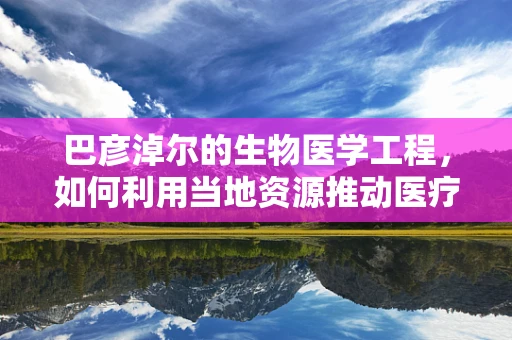 巴彦淖尔的生物医学工程，如何利用当地资源推动医疗创新？