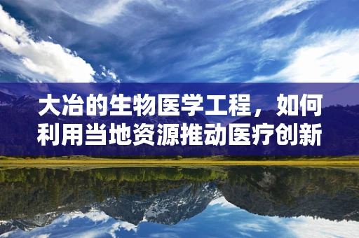 大冶的生物医学工程，如何利用当地资源推动医疗创新？