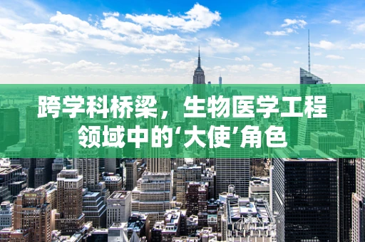 跨学科桥梁，生物医学工程领域中的‘大使’角色