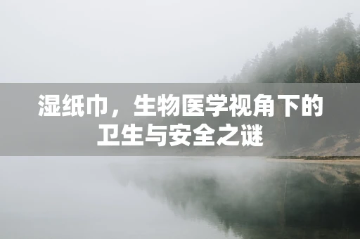 湿纸巾，生物医学视角下的卫生与安全之谜