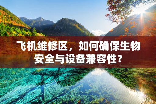 飞机维修区，如何确保生物安全与设备兼容性？