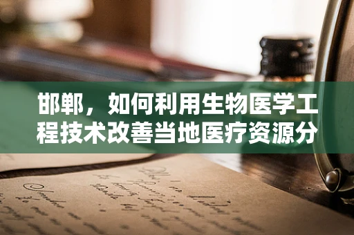 邯郸，如何利用生物医学工程技术改善当地医疗资源分配不均的问题？