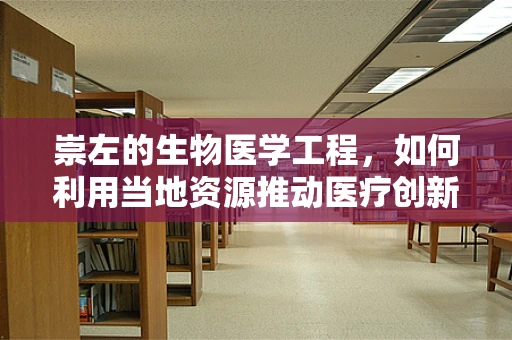 崇左的生物医学工程，如何利用当地资源推动医疗创新？