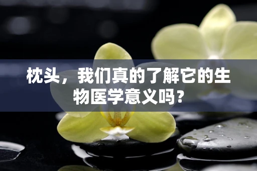 枕头，我们真的了解它的生物医学意义吗？