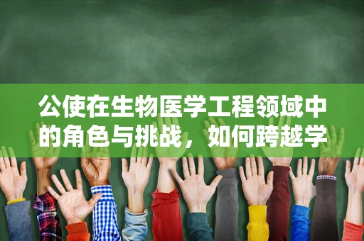 公使在生物医学工程领域中的角色与挑战，如何跨越学科界限，促进国际合作？