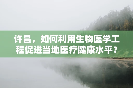 许昌，如何利用生物医学工程促进当地医疗健康水平？