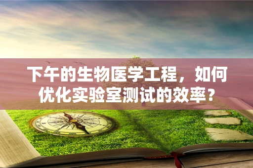 下午的生物医学工程，如何优化实验室测试的效率？