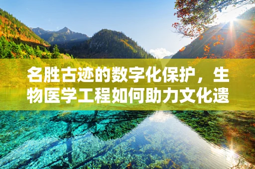 名胜古迹的数字化保护，生物医学工程如何助力文化遗产的永续？