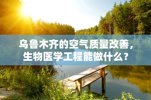 乌鲁木齐的空气质量改善，生物医学工程能做什么？