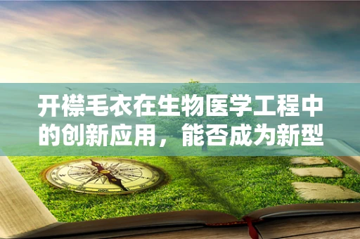 开襟毛衣在生物医学工程中的创新应用，能否成为新型智能穿戴设备？