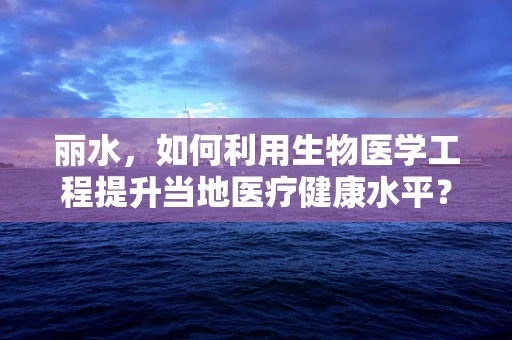 丽水，如何利用生物医学工程提升当地医疗健康水平？