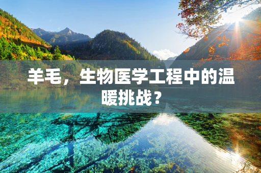 羊毛，生物医学工程中的温暖挑战？