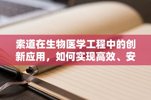 索道在生物医学工程中的创新应用，如何实现高效、安全的医疗物资运输？