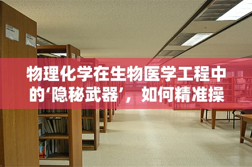 物理化学在生物医学工程中的‘隐秘武器’，如何精准操控药物释放？