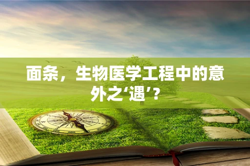 面条，生物医学工程中的意外之‘遇’？