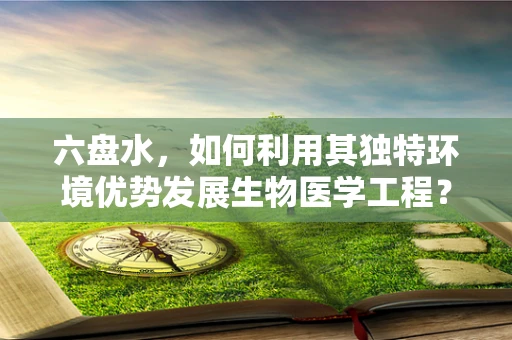 六盘水，如何利用其独特环境优势发展生物医学工程？