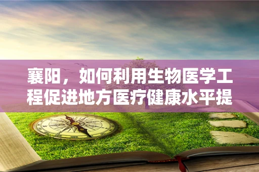 襄阳，如何利用生物医学工程促进地方医疗健康水平提升？