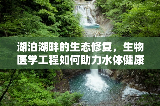 湖泊湖畔的生态修复，生物医学工程如何助力水体健康？