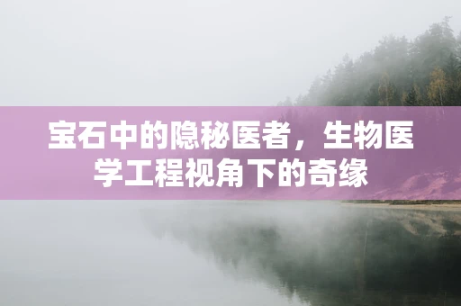 宝石中的隐秘医者，生物医学工程视角下的奇缘