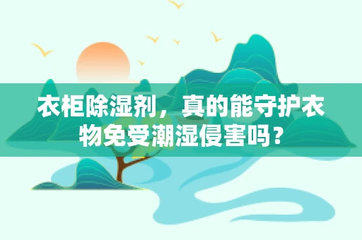 衣柜除湿剂，真的能守护衣物免受潮湿侵害吗？