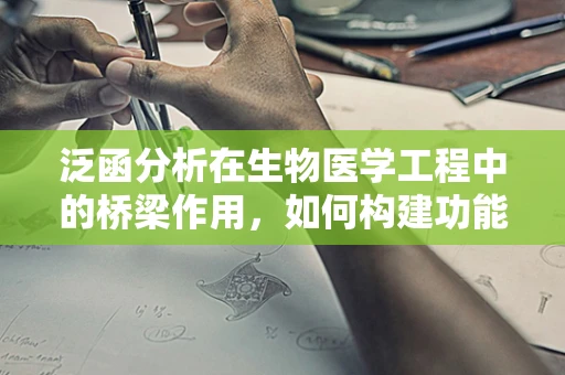 泛函分析在生物医学工程中的桥梁作用，如何构建功能与结构的数学桥梁？