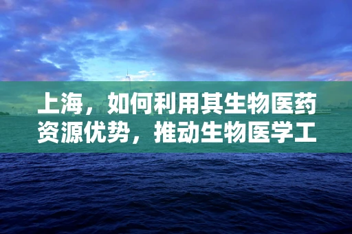 上海，如何利用其生物医药资源优势，推动生物医学工程创新发展？