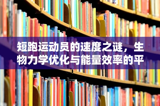 短跑运动员的速度之谜，生物力学优化与能量效率的平衡