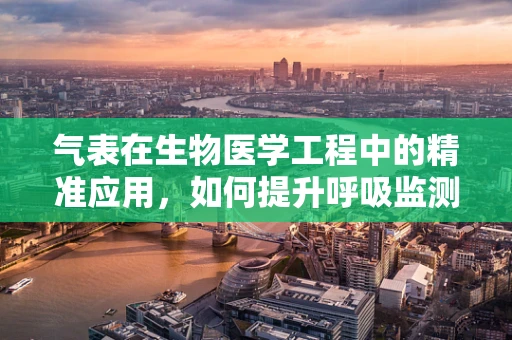 气表在生物医学工程中的精准应用，如何提升呼吸监测的准确性？