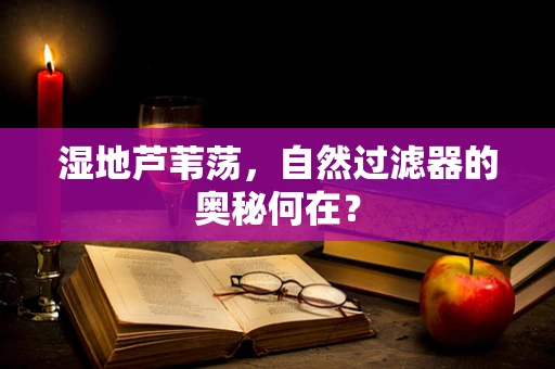 湿地芦苇荡，自然过滤器的奥秘何在？