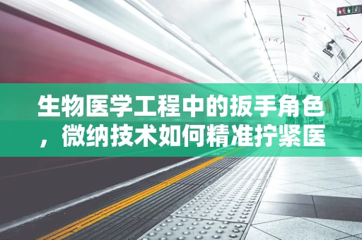 生物医学工程中的扳手角色，微纳技术如何精准拧紧医疗设备？