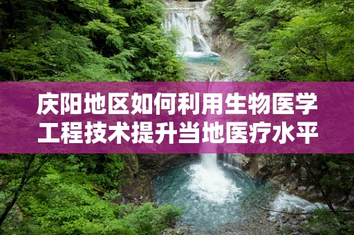 庆阳地区如何利用生物医学工程技术提升当地医疗水平？