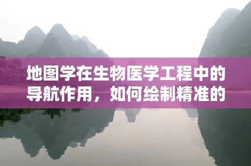 地图学在生物医学工程中的导航作用，如何绘制精准的‘生命地图’？