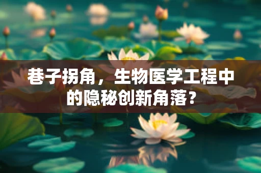 巷子拐角，生物医学工程中的隐秘创新角落？