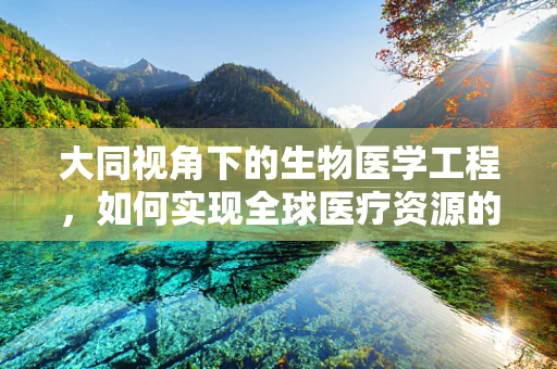 大同视角下的生物医学工程，如何实现全球医疗资源的均衡分配？