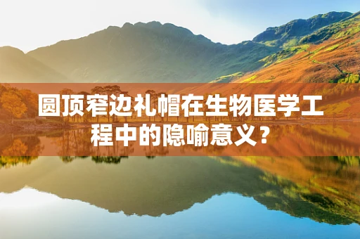 圆顶窄边礼帽在生物医学工程中的隐喻意义？