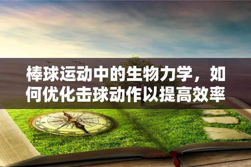 棒球运动中的生物力学，如何优化击球动作以提高效率？