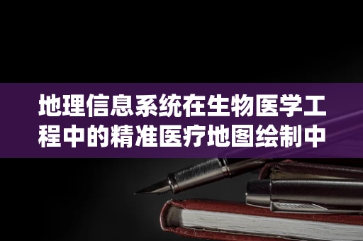 地理信息系统在生物医学工程中的精准医疗地图绘制中扮演什么角色？