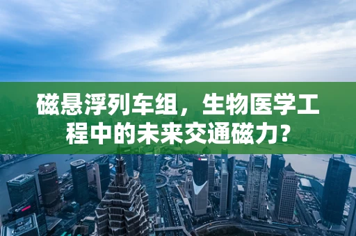 磁悬浮列车组，生物医学工程中的未来交通磁力？