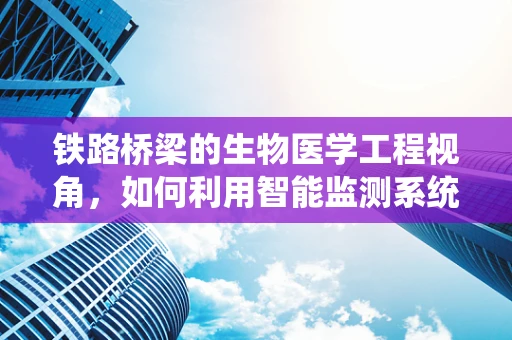 铁路桥梁的生物医学工程视角，如何利用智能监测系统保障其安全？