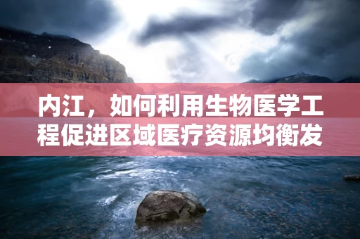 内江，如何利用生物医学工程促进区域医疗资源均衡发展？