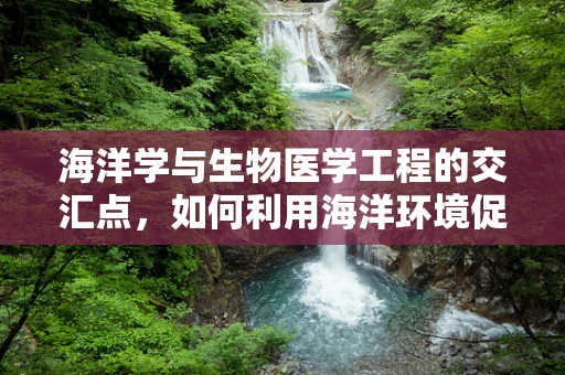 海洋学与生物医学工程的交汇点，如何利用海洋环境促进医疗技术创新？