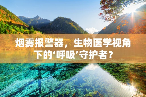 烟雾报警器，生物医学视角下的‘呼吸’守护者？