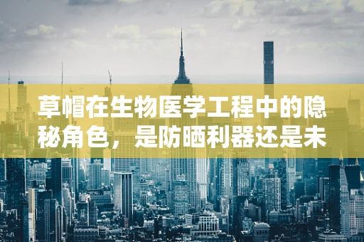 草帽在生物医学工程中的隐秘角色，是防晒利器还是未知的生物标志物？