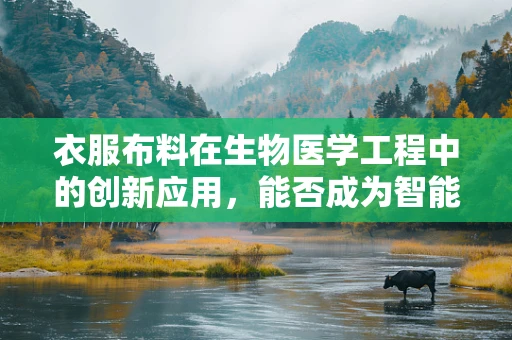 衣服布料在生物医学工程中的创新应用，能否成为智能医疗的隐形守护者？