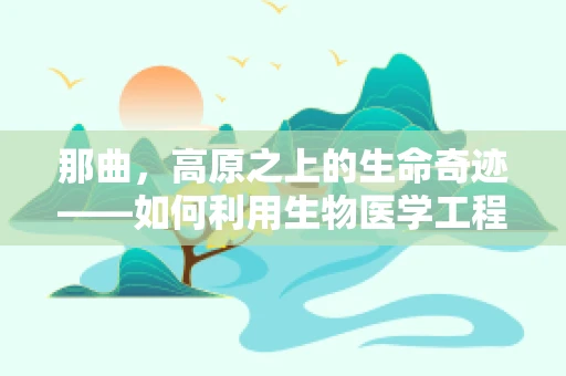 那曲，高原之上的生命奇迹——如何利用生物医学工程提升其医疗可及性？