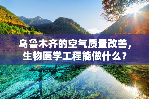 乌鲁木齐的空气质量改善，生物医学工程能做什么？