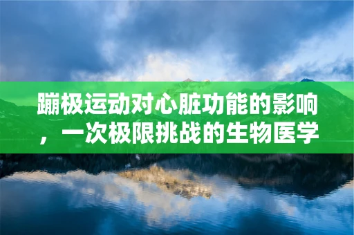 蹦极运动对心脏功能的影响，一次极限挑战的生物医学视角