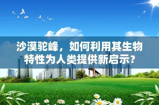 沙漠驼峰，如何利用其生物特性为人类提供新启示？