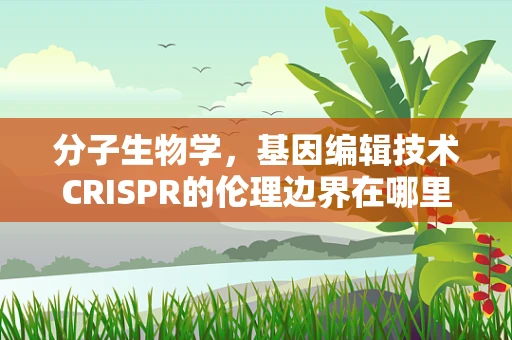 分子生物学，基因编辑技术CRISPR的伦理边界在哪里？